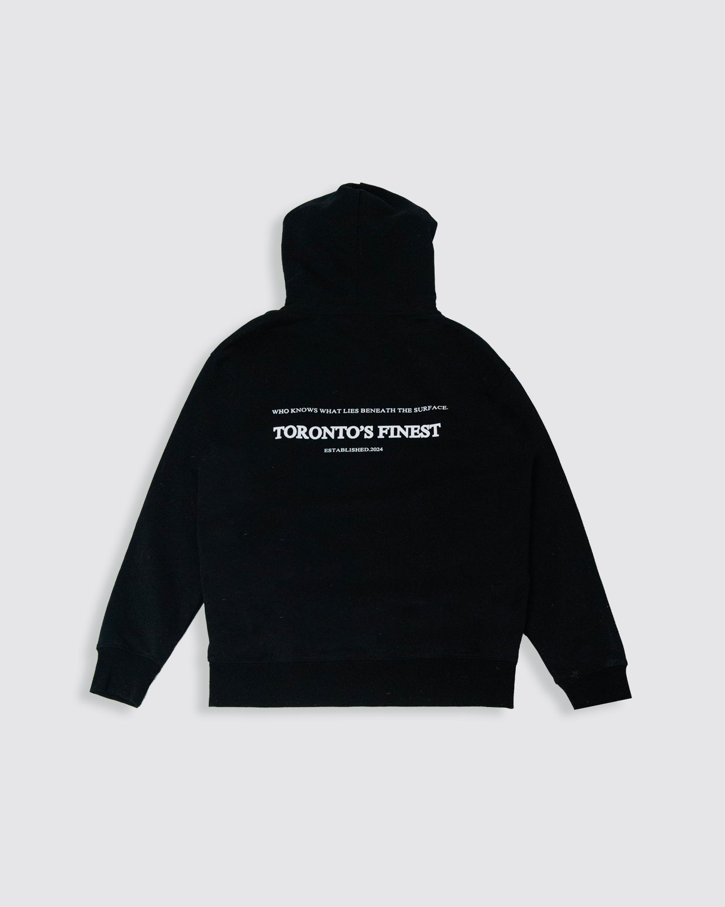 Truth Toronto Hoodie.
